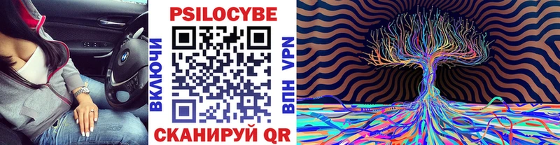Купить где  Палласовка  Галлюциногенные грибы Cubensis 